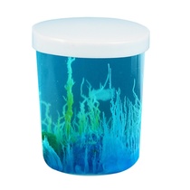 Primary School students creative DIY technology small production magic stone water flower garden childrens chemistry experiment puzzle