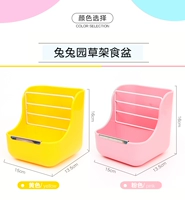 Кроличья сад сад бассейн цвет