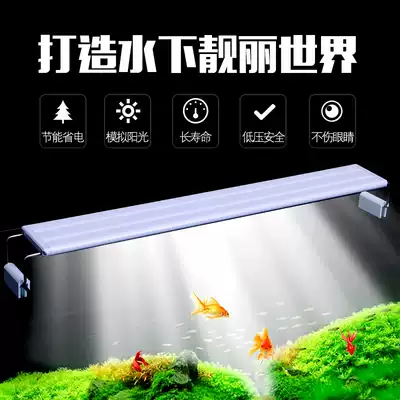 Hyundai Red Dragon cylinder lamp holder aquarium clamp lamp energy-saving LED lamp aquatic lamp lighting lamp holder aquatic lamp lighting lamp holder aquatic lamp small cylinder