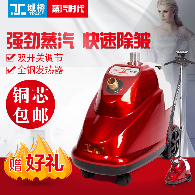 Domain bridge press E8 T588 copper core high power shop household electric iron steam iron special price