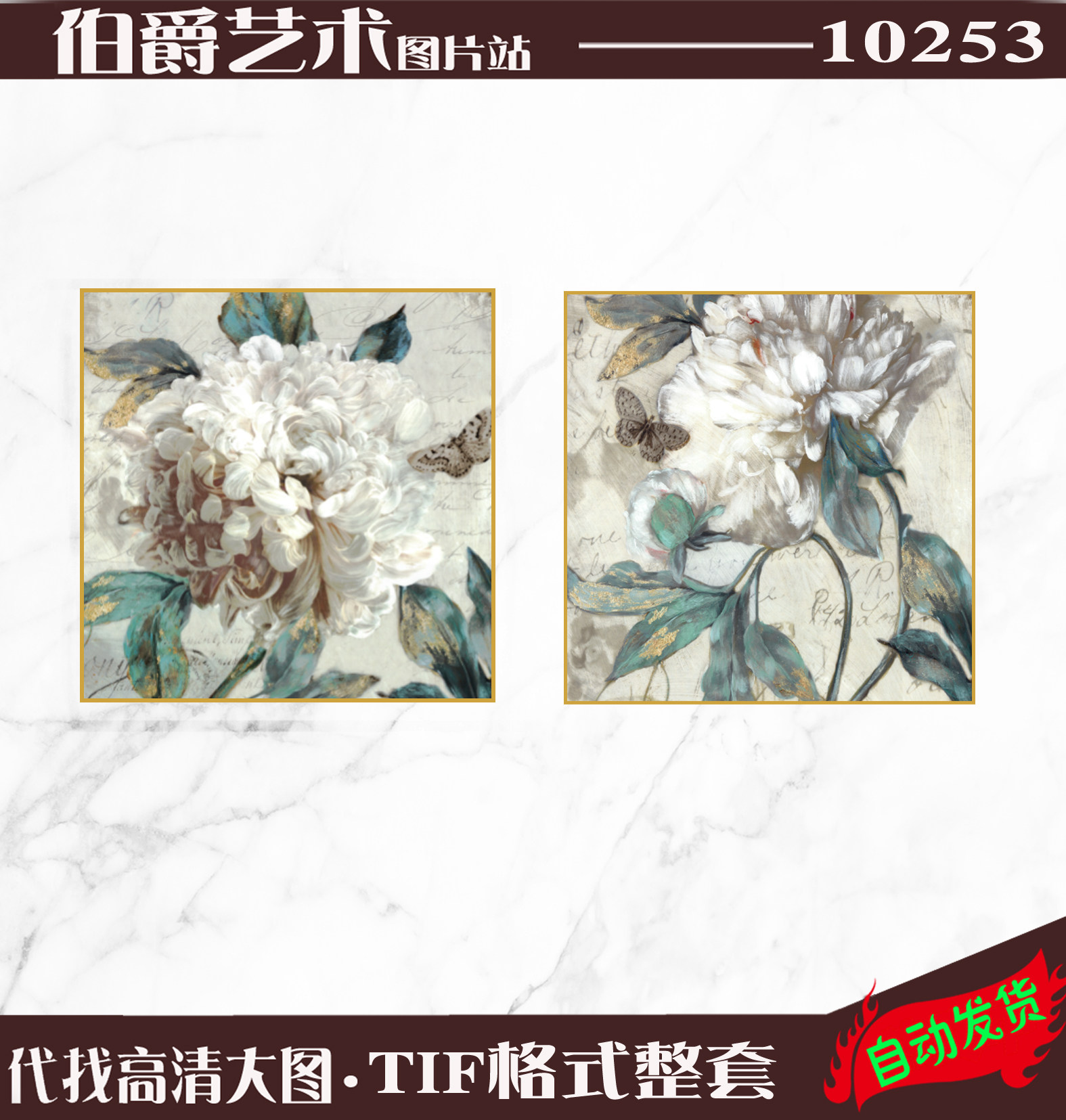 Modern Peony Imported Painting Core American Flower Decoration Drawing HD Picture Core Picture Gallery Download