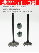 Storm eye CB190R fierce bird of prey intake valve exhaust valve bird of prey war eagle CBF190TR phantom shadow valve oil seal