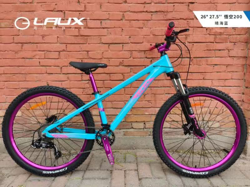 Rex 26 27.5inch Wukong 200 Aluminum Alloy Frame 120-Spoke Street-Blasting Hub Gear Mountain Bike Dirt Ramp