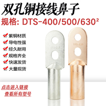Double-hole copper nose DTS-400 500 630 square cable wiring nose copper connector double-hole copper wire ear copper