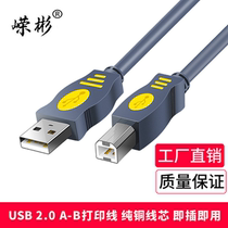 Rongbin USB2 0 print cable for brother HP Canon printer data cable Hard disk box sharer