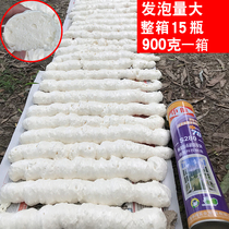 Shenhang Polyurethane foaming agent Caulking agent Expansion agent Door and window styrofoam filling glue Foam hose type Other type