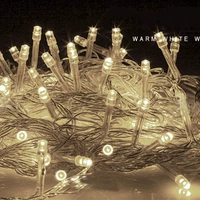 10 метров прозрачная линия теплый свет (модель батареи)