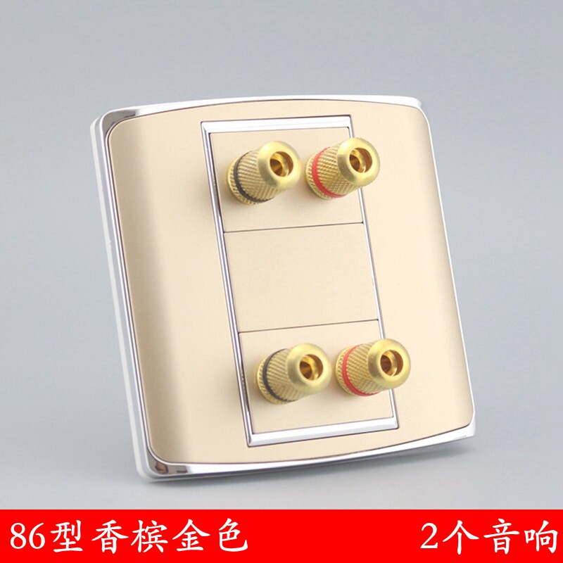 Champagne 86 Type 2 SPEAKERS SOCKET PANEL MULTIMEDIA 2 SURROUND SOUND PANEL WALL SWITCH PANEL