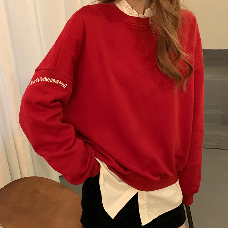 Real shot Pullover embroidery lazy style round neck thin long sleeve top