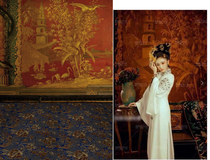 Photo studio photo background ancient style photo photography background cloth sexy theme background paper in the dream National style background
