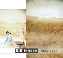 Photo studio plate costume photo photography background photography theme photo background cloth Reed Jian Jia Yan Yan Yan Yufei