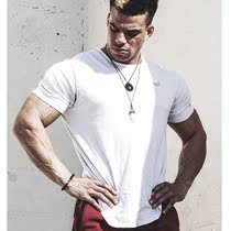 Muscle Niu Fitness Big Short Sleeve Running Leisure Outdoor Brothers T-shirt Cotton Summer Quick Dry Clothes Men