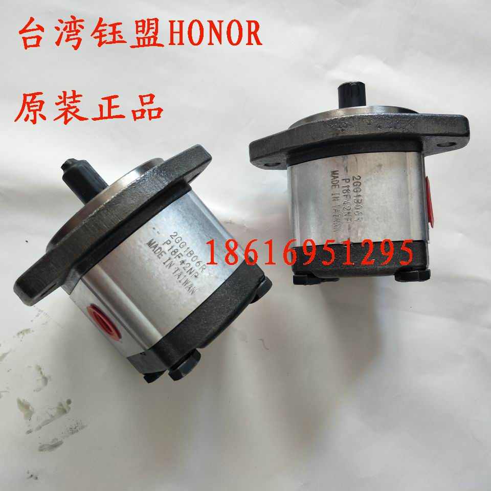 2GG1P22R 2GG1B22R high pressure gear pump Taiwan Yimeng HONOR original oil pump