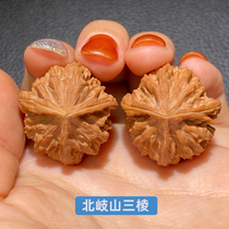 Text play walnut natural small size mini triangular shaped live room universal hand play play Mitsubishi pair of hand twist