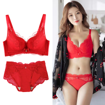 Rosanna Zodiac Red Underwear Wedding Bridal Lace Small Chest Push Up Bra Set Pair of Breast Cups