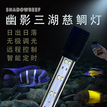 Shadow Sanhu Lampe Sanhu cichlid lampe spéciale Dites lampe daquarium à induction de couleur bleue et blanche projecteur étanche alimentation de vivaneau