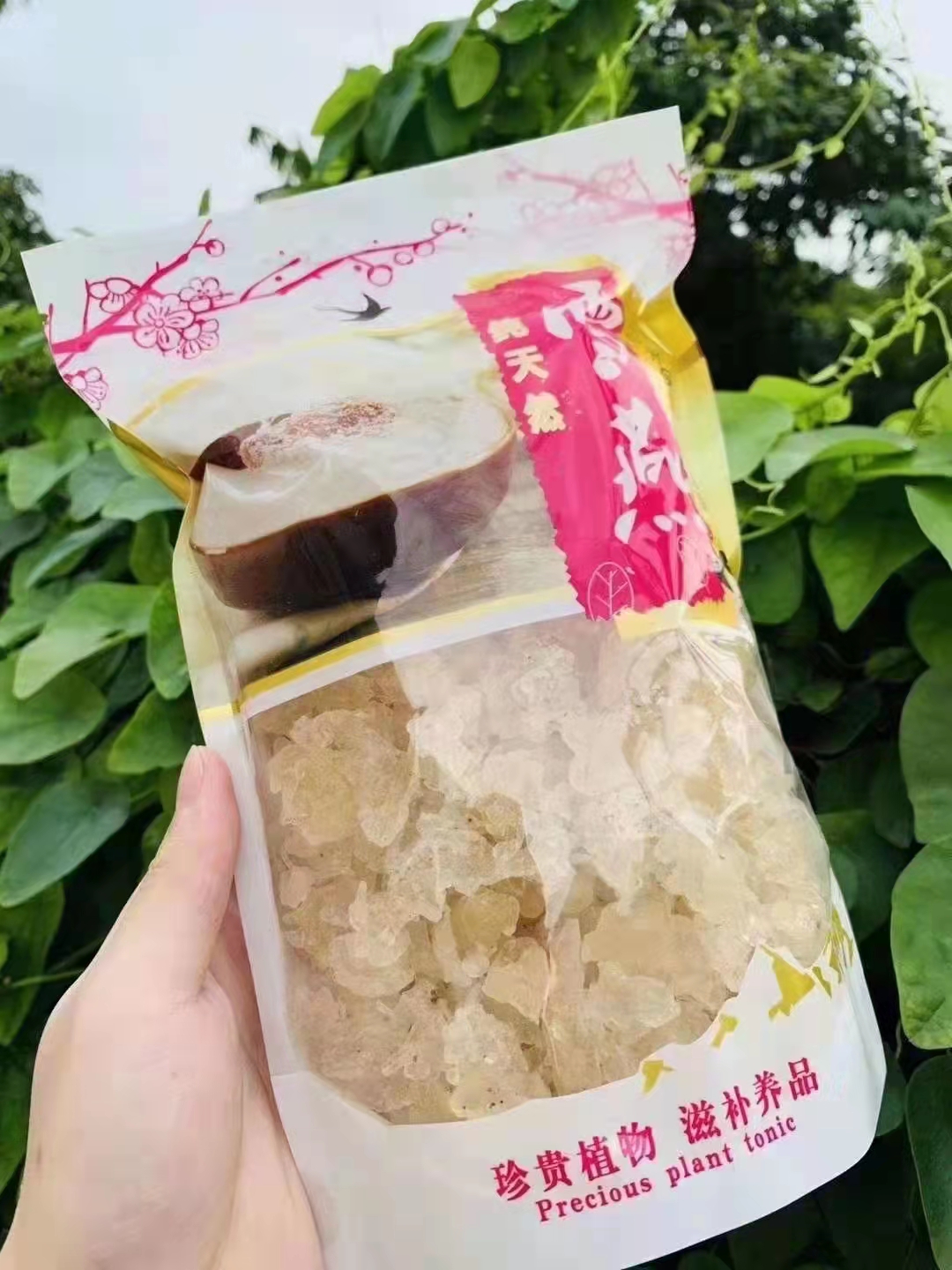 天然滋养的宝藏组合：笠禾皂角米雪莲子桃胶燕窝养生套餐