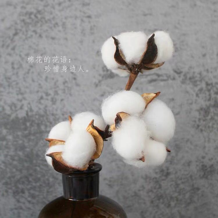 Bông thông nón bánh trang trí trang trí mạng lưới Bắc Âu ins đơn giản gió tinh khiết tự nhiên khô hoa tráng miệng mặc quần áo - Trang trí nội thất trang tri nha dep