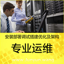 Website installation service PHP source code mysql database backup restore Domain name resolution environment construction
