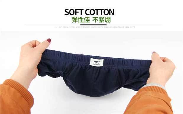 Tóm tắt bảy con sói quần short cotton gợi cảm thoải mái giữa hộp quà tặng 100% cotton đồ lót nam - Bộ quà tặng set quan sip nam dep