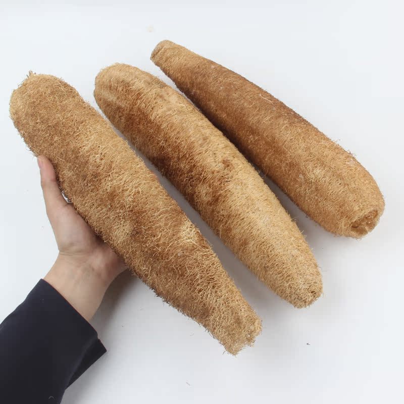 Flaw Physical photographing Grand Hotel with silk melon flesh dishwashing silk melon sponge Natural Dry Silk Melon Gluten Brush Bowls of Towel Melon