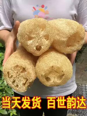 Dry si gua rang dishes natural farm oversized loofah dishes pot old rang zi ultra-bold Vine of Luffa long soft cleaning