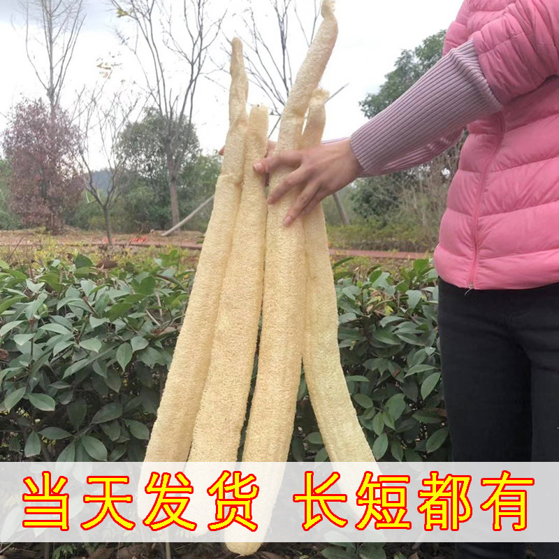 乡村三叔