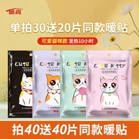 Симпатичная кошка [Сингл Съемка 30 Получите 20 Получить 20] [Одиночный съемки 40 Получите 40]