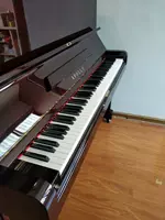 Apollo sử dụng đàn piano Apollo A328 Đàn piano đỏ Apollo có chiều cao 131 - dương cầm yamaha ydp 103