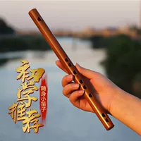 Mini Piccolo -Следуйте полюсной студент -студент