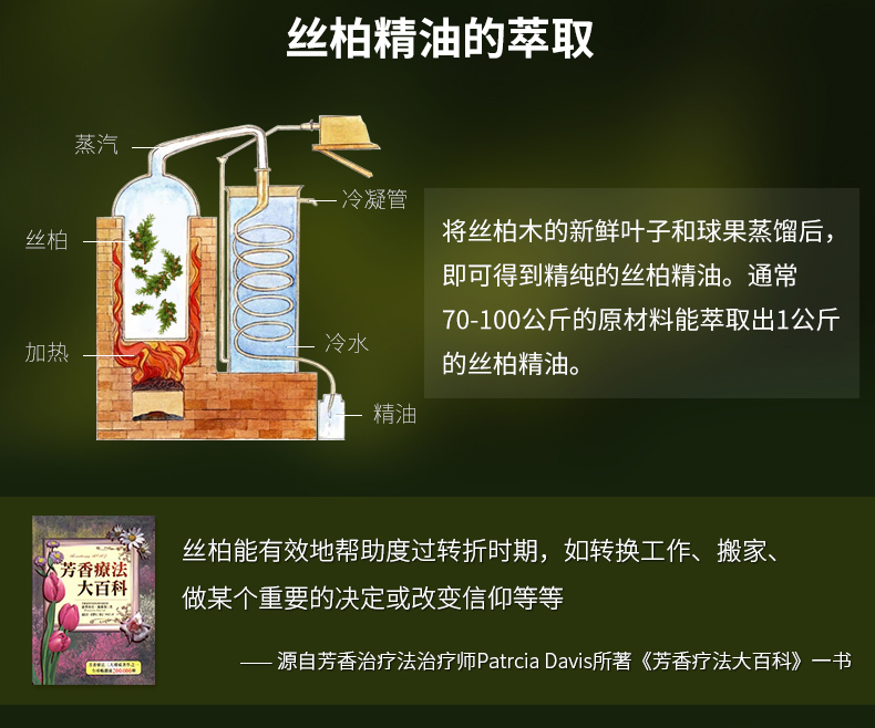 Zhang Xiao Niangzi bách tinh dầu 10 ml lỗ chân lông cơ thể lớn eo và bụng massage bảo trì đơn phương tinh dầu hương liệu tinh dầu sả