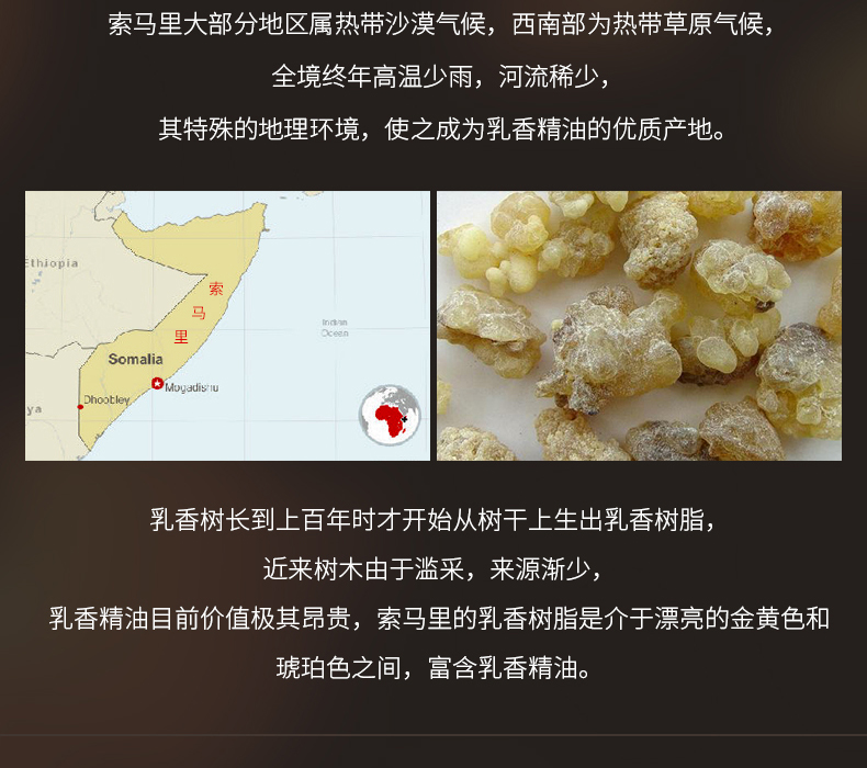 Dầu thơm Zhang Xiao Niangzi 10ml Nâng cơ làm săn chắc da Cơ thể Chăm sóc tinh dầu Hương liệu đơn phương Trẻ hóa chính hãng tinh dầu ngải cứu