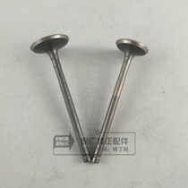 Wuyang Honda Jiaying Xijun Cool Shadow Xi Li 125 original original intake valve exhaust valve accessories