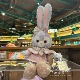 Маленькая классная звезда Dailu Doll