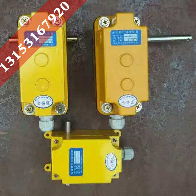 DXZ Type Multifunction Limiter Tower Hoist Lifting Degree Gyrating Crane 1:46 1:46 660274 Trip Switch