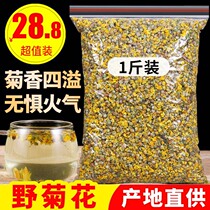 Wild Chrysanthemum Tea Fresh Wild Chamomite Grade Bulk Wild Chrysanthemum Flower Tea Pure Natural Products Millet Chamomile Water