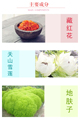 10年雪莲生态保养的LOGO