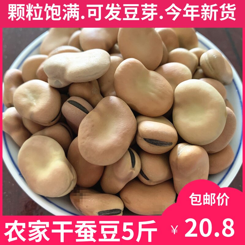 New Cargo Dried Silkworm Bean 5 Catty Fresh Bulk Raw Silkworm Bean Lumbean Dry Bean Dry Stock Can Germinate Fried Silkworm Bean Snack
