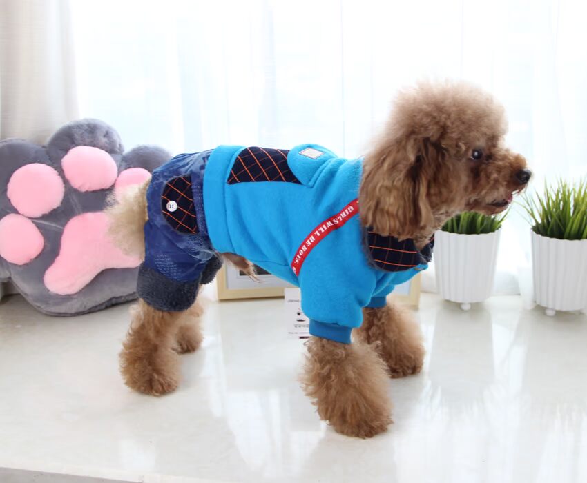 Coco Hani Quần áo thú cưng thông thường Mô hình mùa đông Chó lông bốn chân Teddy Quần áo VIP - Quần áo & phụ kiện thú cưng áo cho chó cưng
