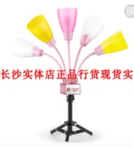 Changsha physical store spot has to love five sets of lights live fill light camera beauty fill light
