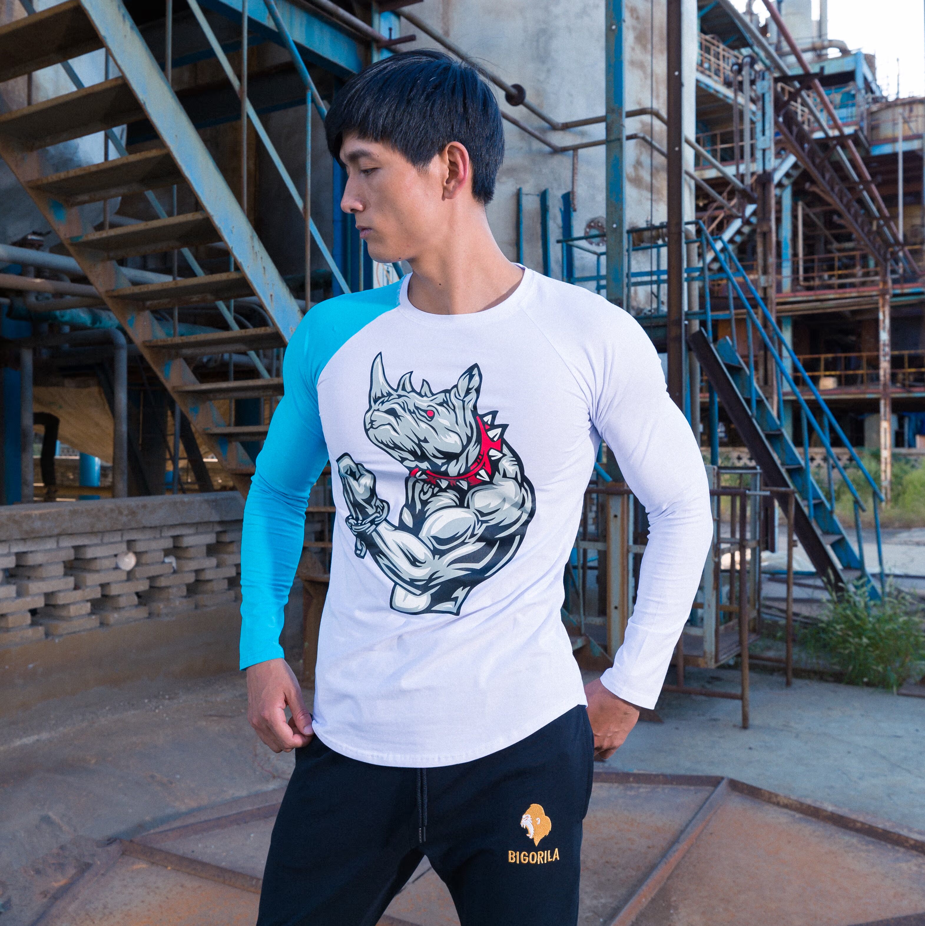Cơ bắp bò thể thao áo thun nam chó anh em áo thể dục đào tạo quần nam áo dài tay áo cotton từ bi - Áo phông thể thao áo ba lỗ gym
