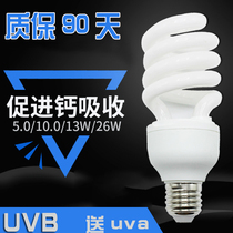 Reptile tortoise UVB lamp UV 10 0 5 0 Energy-saving lamp Turtle sun back calcium succulents fill light lamp