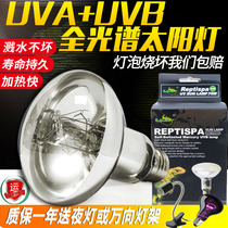 Turtle sun back light insulation uva UVB full spectrum sun light Lizard tortoise heating climbing pet insect calcium supplement bulb