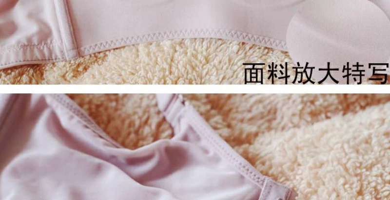 Jin Wei đồ lót hàng đầu chính hãng mô hình cao cấp mới thở mô hình không có vòng thép áo ngực vi nuôi dưỡng thu thập cửa hàng truy cập quần lót cotton