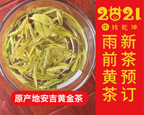 2021 Golden bud Anji yellow tea green tea physical shooting 500 grams of pre-rain tea