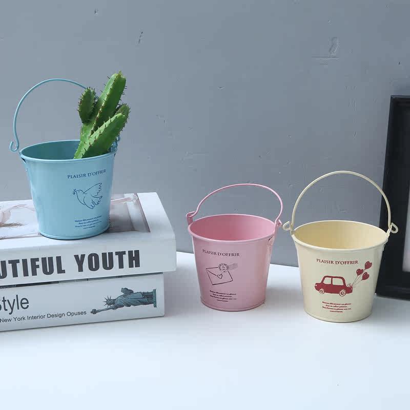 Simple Wrought iron baking paint small bucket desktop storage ornaments fleshy creative flower pots