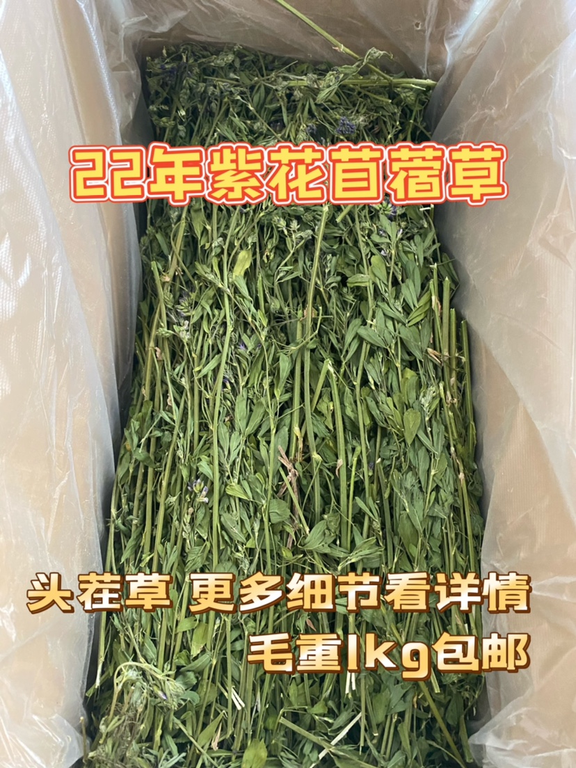 22 years alfalfa rabbit Dutch pig Dragon cat nutrition high calcium drying herd gross weight 1kg