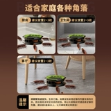 Лекарство от тараканов, уничтожение домашних тараканов, специальная приманка для уничтожения тараканов в столовой отеля, флагманский магазин, настоящая нетоксичная