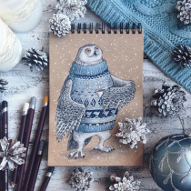 (Tuanbao own) DMC kit hipster series DW033 wearing sweater owl 14CT2 embroidery