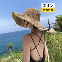 Japan net red straw hat women's beach small fresh big brim cover face sun hat ultraviolet sun hat hat big brim